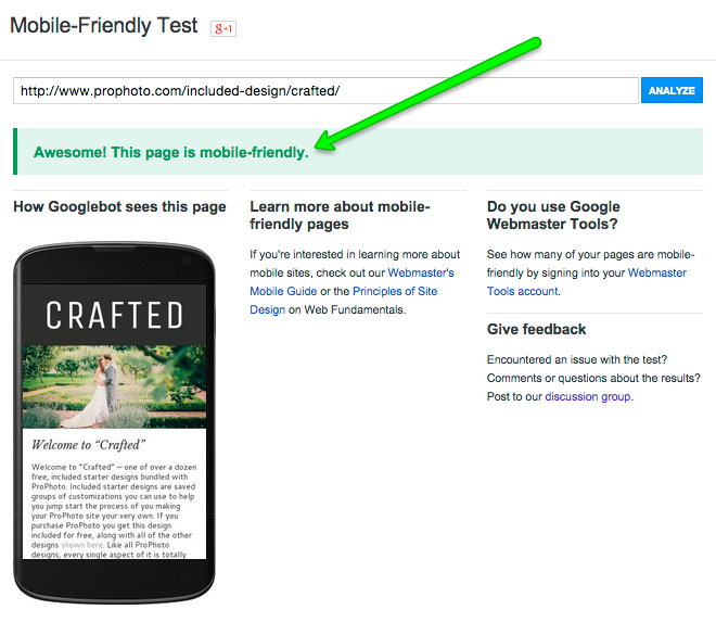 ProPhoto sites using the mobile layout feature should pass Google's test